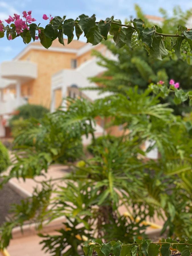 לוס כריסטיאנוס Golden Suite Ocean View & Pool מראה חיצוני תמונה